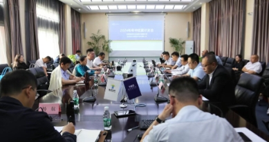 人妻少妇av无码一区二区