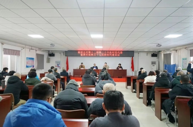 人妻少妇av无码一区二区