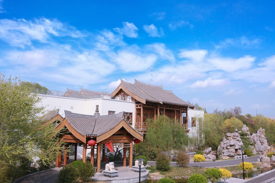 人妻少妇av无码一区二区